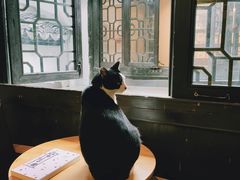 -猫的天空之城概念书店(杭州南宋御街店)