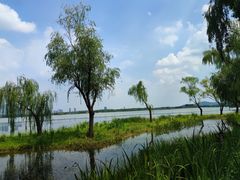 -渤公岛生态公园