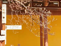 -龙华寺
