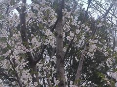 -北京化工大学(东校区)