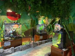 -酷嗒动物文化乐园(cutezoo西溪乐天城店)