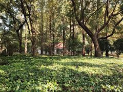 -徐家汇源景区-衡山公园