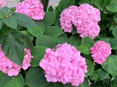 -重庆市江北嘴中央商务区中央公园