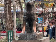 -涩谷区
