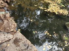 -辽宁大学(崇山校区)