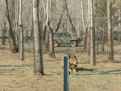 -秦皇岛野生动物园