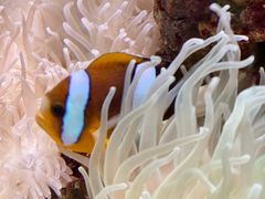 -太平洋海底世界