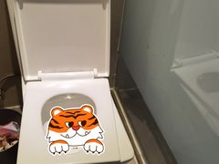 -麗枫酒店(深圳坪山高铁站龙东地铁站店)