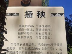 -北坞公园