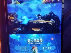-重庆欢乐海底世界