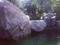 -麦积山温泉