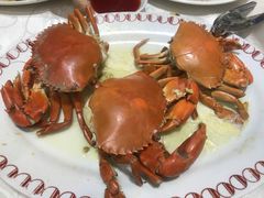 -凤城礼记鱼翅海鲜酒家(新马路总店)