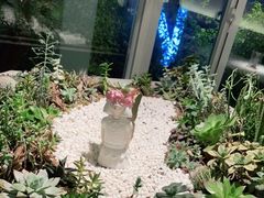 -春树下·树屋花房西餐厅(罍街AS1980店)