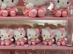 -安吉Hello Kitty乐园