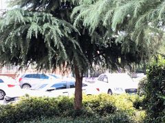 -东林广场(地铁站)