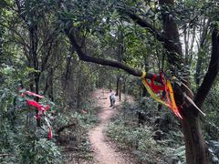 -黄埔油麻山森林公园