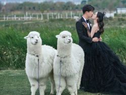 -女王风尚STUDIO·轻奢化定制