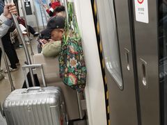 -田村(地铁站)