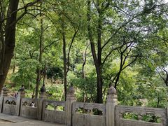 -黔灵山公园