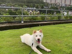 -白石龙音乐公园