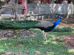 -华雅花园大酒店