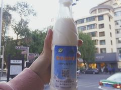 -德禄酸奶(莫家街店)