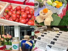 -OCT PARK欢乐时光