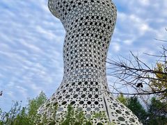 -西安浐灞国家湿地公园