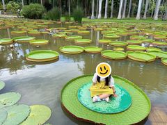 -中国科学院西双版纳热带植物园