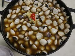 -顺德哥卜卜贝(旗舰店)
