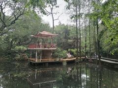 -广州兰圃