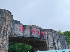 -合肥野生动物园