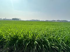 -中国天府农业博览园