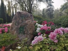 -洛阳市隋唐城遗址植物园