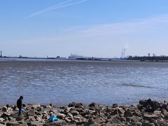 -上海吴淞炮台湾国家湿地公园
