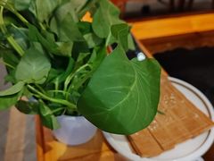 -堂客老火锅(欣阳广场总店)