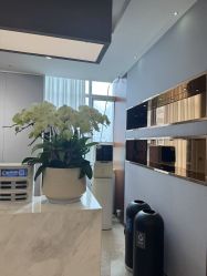 -杭州米兰柏羽医疗美容医院