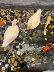 -Zoolung Zoolung动物主题公园(海信广场店)