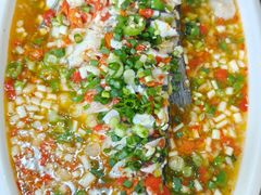 -飞虹鱼馆(春华路店)