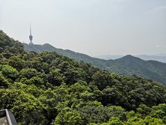 -梧桐山风景名胜区