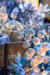 点击看大图 -花嫁丽舍海岛婚礼殿堂(国展店)