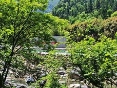 -石台牯牛降景区