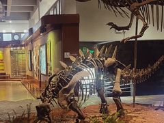 -自贡恐龙博物馆