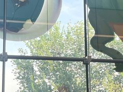 -烹然四季椰子鸡火锅(姚家园万象汇店)