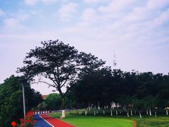 -幸福湖国际会议中心