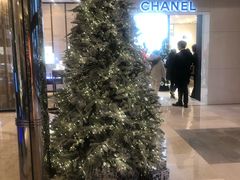 -乐天免税店(明洞店)