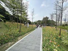-云溪植物园