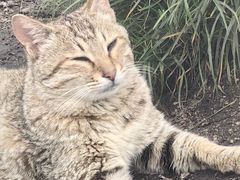 -萍乡武功山风景名胜区