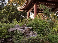 -四海公园(南山区)