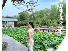 -莲湖公园
